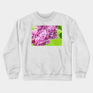 Pink lilac flowers vibrant colors Crewneck Sweatshirt